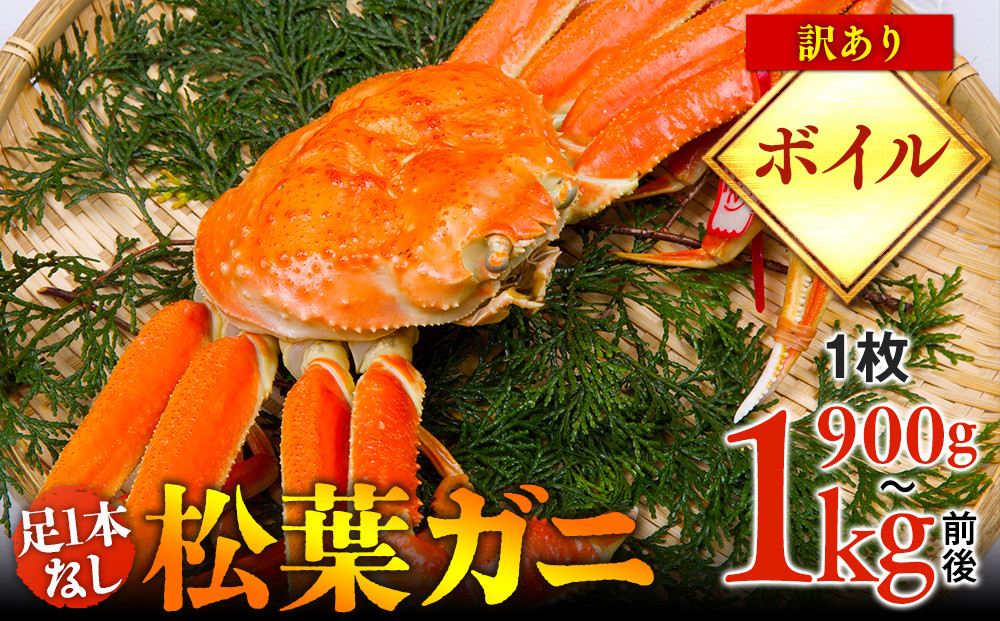 666.【ボイル】足1本なし　訳あり　松葉ガニ　特大1枚（900g～1kg前後）【着日指定不可】※2025年11月上旬～2026年3月下旬に順次発送予定