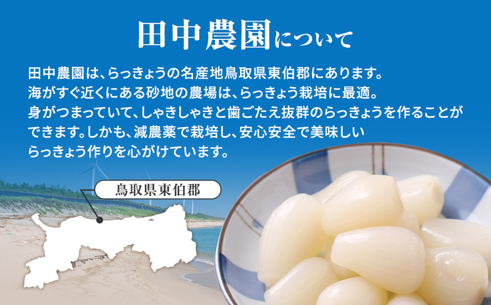 413.ラッキョウ漬け　（ビン入り：110g×2本・180g×1本　袋入り：180g×1袋）