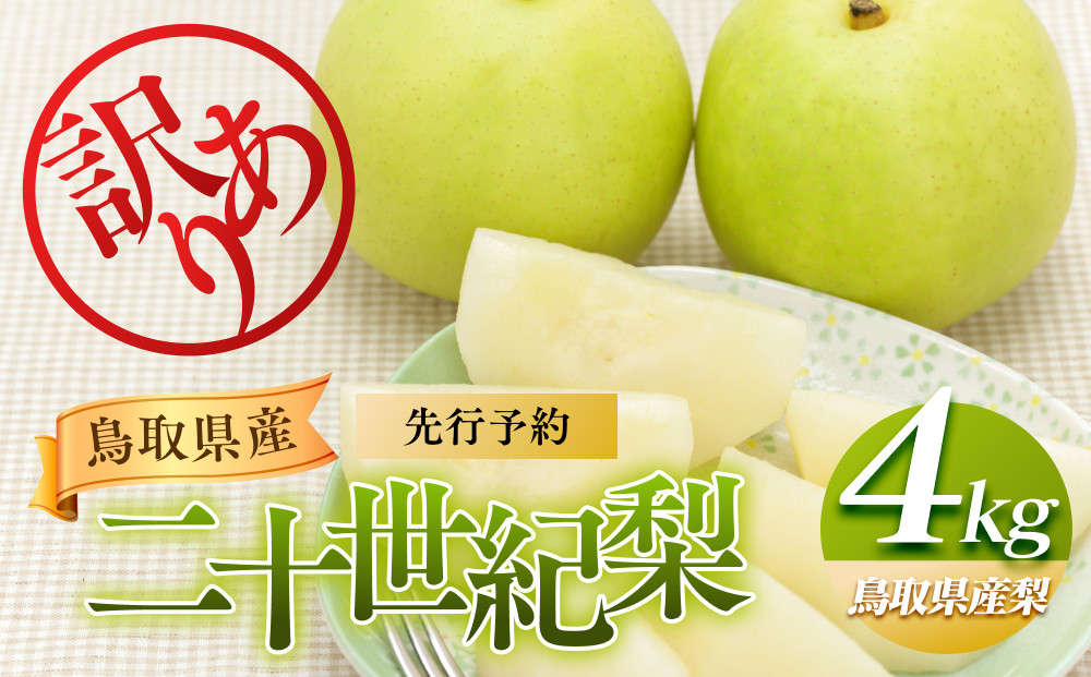 953.【先行予約】【訳あり】二十世紀梨 4kg【梨・なし】≪梨 なし ナシ 果物 フルーツ くだもの 鳥取県北栄町≫※8月下旬頃～9月下旬頃に順次発送