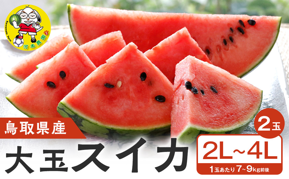 【先行予約】鳥取県北栄町産 大玉スイカ(2玉セット)１玉あたり7-9キロ前後2L-4Lサイズ（こちらの返礼品は、大栄西瓜ではありません）