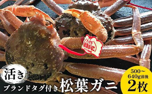 106.【活き】ブランドタグ付き松葉ガニ 500～640g前後　2枚◇ ≪かに カニ 蟹 ズワイガニ≫　※2026年11月上旬～2027年3月上旬頃に順次発送予定