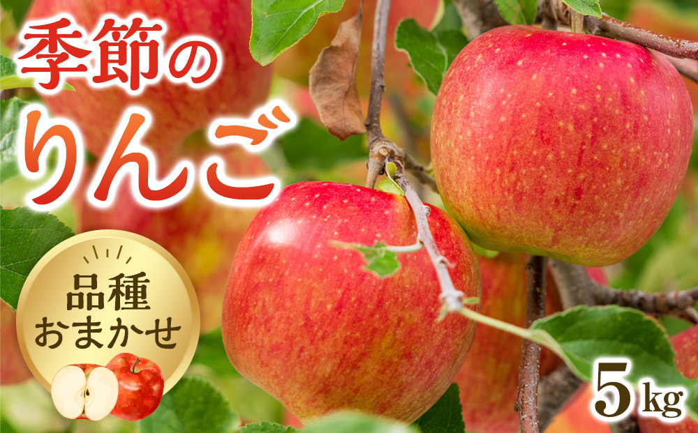 332.【品種はおまかせ】季節のりんご 5kg箱 ※2026年10月上旬～10月下旬頃に順次発送予定