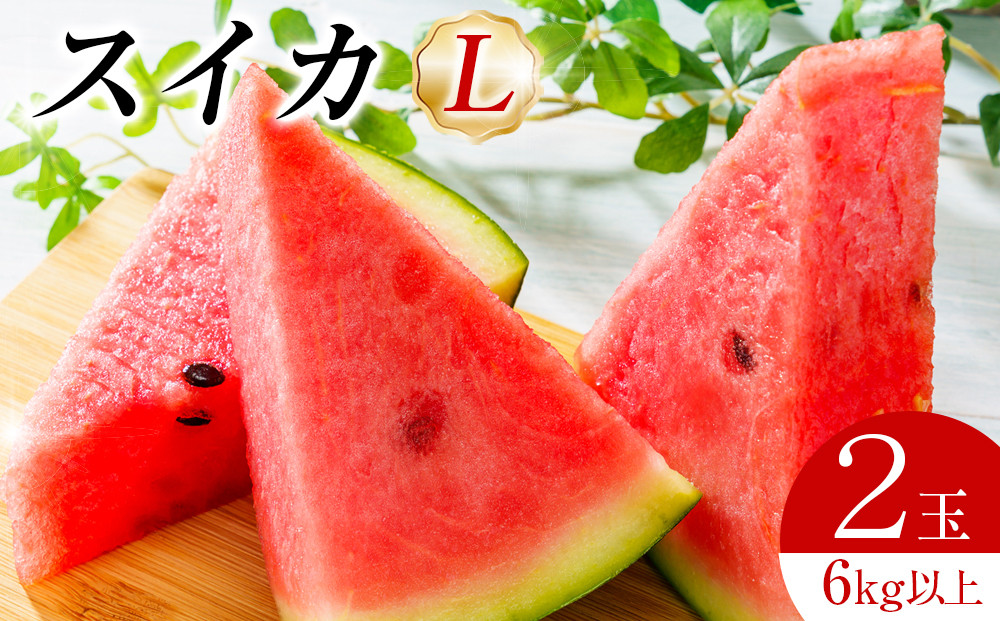 242.【先行予約】スイカL2玉　6kg以上2玉◇　※6月上旬～8月中旬頃に順次発送予定（こちらの返礼品は、大栄西瓜ではありません）