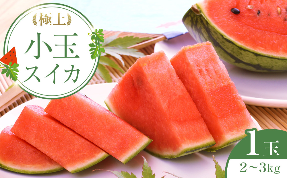 249.【先行予約】極上小玉スイカ１玉　※6月上旬～8月中旬頃に順次発送予定