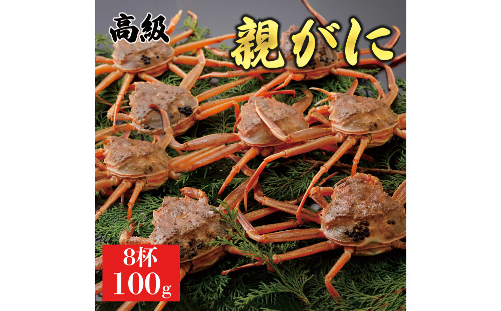 1066.【2026年12月発送】鳥取県産 特撰 親がに 姿【セコガニ】（なま）100g　8杯