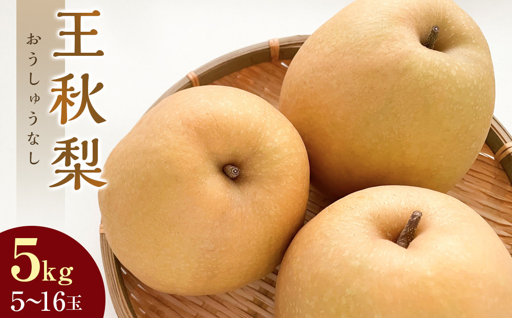 297.【先行予約】王秋梨　5kg前後（5～16玉前後）≪果物 フルーツ くだもの≫　※2026年10月下旬～12月上旬頃に順次発送予定