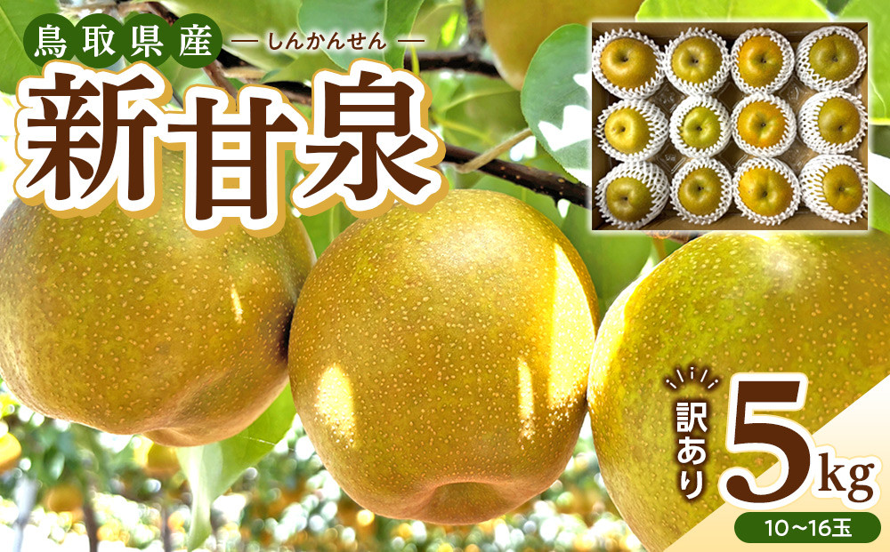 1257.【2026年度発送先行予約】訳あり　新甘泉　5kg