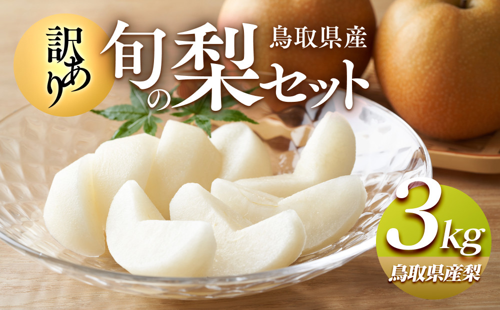 949.[訳あり]鳥取県産旬の梨セット 3kg[梨・なし・果物 フルーツ・くだもの]