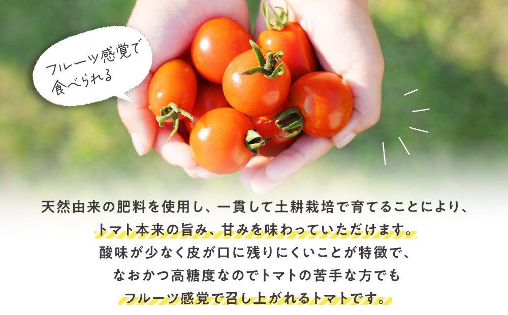 347.鬯シ縺ョ縺ィ縺セ縺ィ笳縲窶サ2026蟷エ6譛井ク頑流ス10譛井ク区流鬆縺ォ鬆谺。逋コ騾∽コ亥ョ