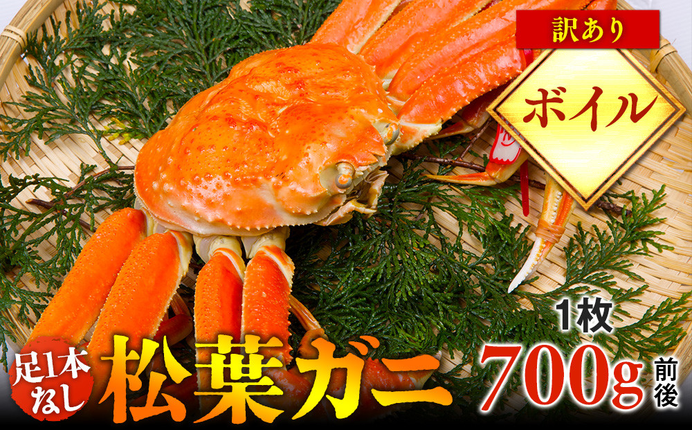 668.【ボイル】足1本なし　訳あり　松葉ガニ　中1枚（700g前後）【着日指定不可】※2025年11月上旬～2026年3月下旬頃に順次発送予定《かに カニ 蟹》