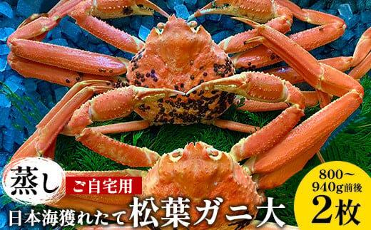 115.【蒸し】訳あり ご自宅用日本海獲れたて松葉ガニ 大　800～940g前後　２枚◇《かに カニ 蟹 ズワイガニ》※2026年11月上旬～2027年3月上旬頃に順次発送予定