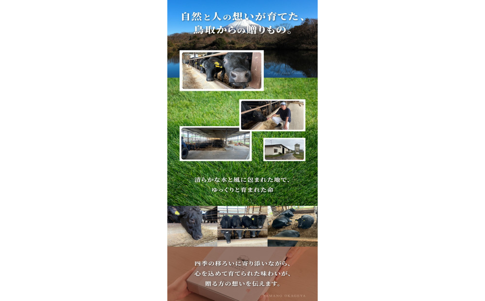 1275.鳥取和牛 ロース 焼肉用 100g