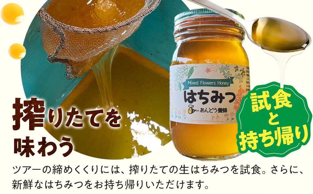 1282.【要予約 大人1名様用】あんどう養蜂 まるごと養蜂体験（約3時間）はちみつ600g付き