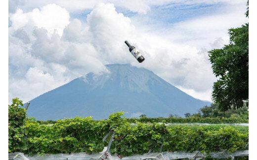 684.辛口赤ワイン『富士の夢2017大山』【化粧箱入り】　※着日指定不可　※離島への配送不可