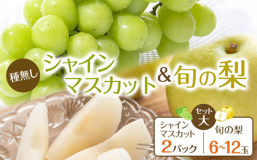271.【先行予約】シャインマスカット(種無し)と旬の梨セット　大◇　※2026年8月下旬～9月下旬頃に順次発送予定