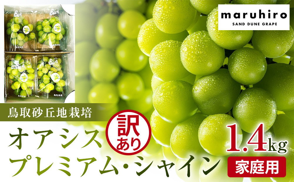 915.【先行予約】シャインマスカット 訳あり 家庭用 鳥取砂丘地産 1.4kg（350g×4パック） ※離島への配送不可 ※2026年8月下旬～10月下旬頃に順次発送予定