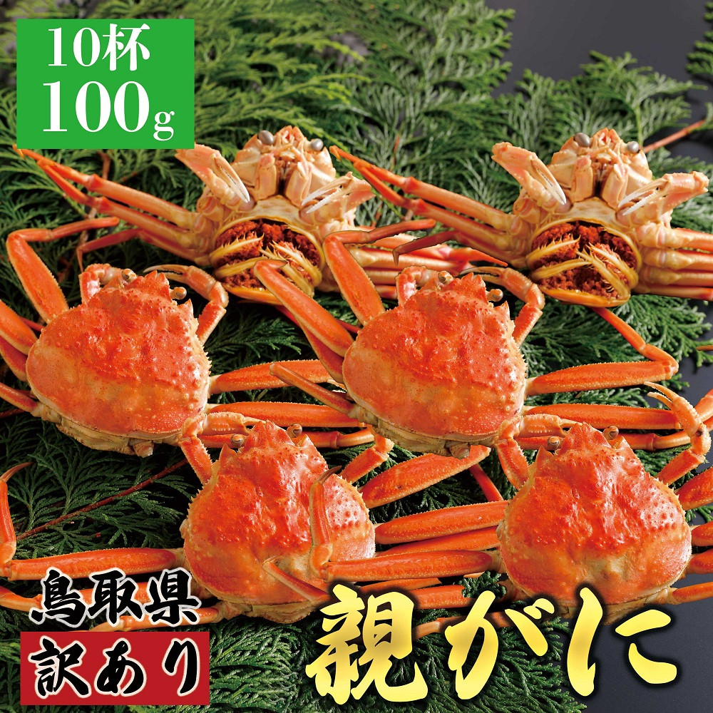 1073.【2026年12月発送】鳥取県産 特撰 親がに 姿【セコガニ】（茹）【訳あり】100g 10杯