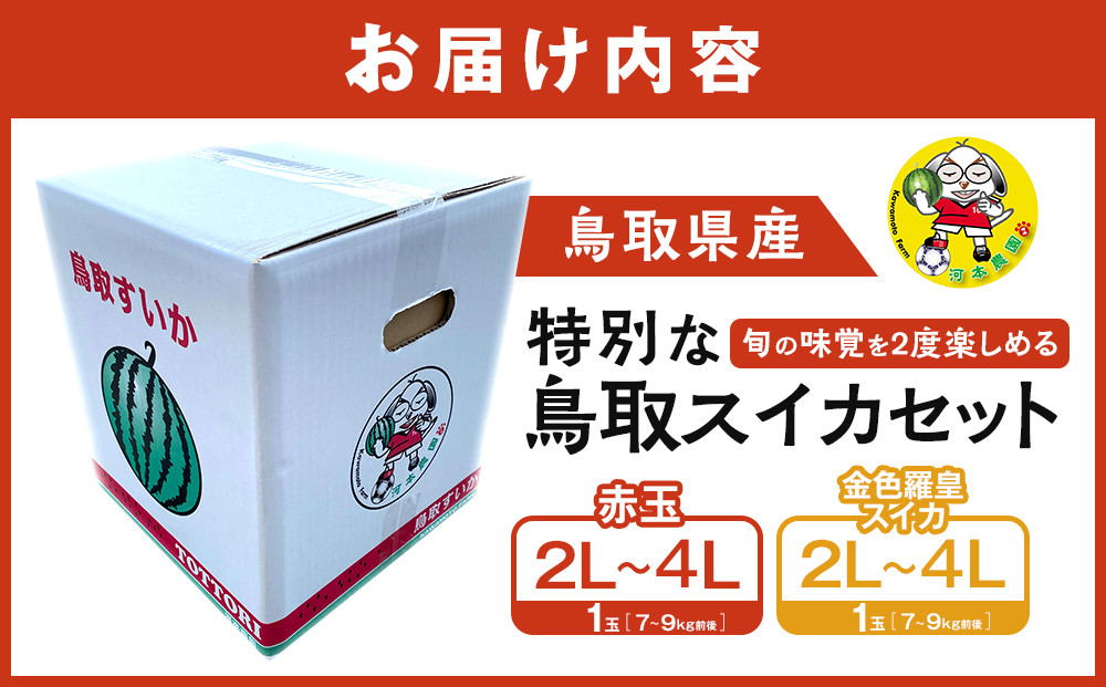 1118.【先行予約】旬の味覚を2度楽しめる、特別な鳥取スイカセット（こちらの返礼品は、大栄西瓜ではありません）