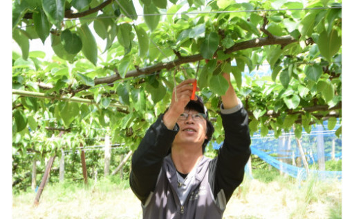 霎イ讌ュ縺ョ謖ッ闊医↓髢「縺吶k莠区・ュ
