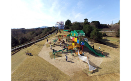 隕ウ蜈画険闊医↓髢「縺吶k莠区・ュ