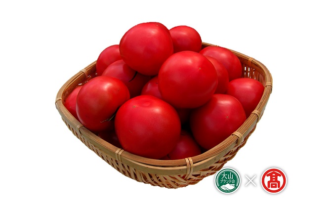 日南町産 トマト 食べ比べ セット 頒布会 定期便 全2回 麗夏 / 桃太郎とまと（大山ブランド会）