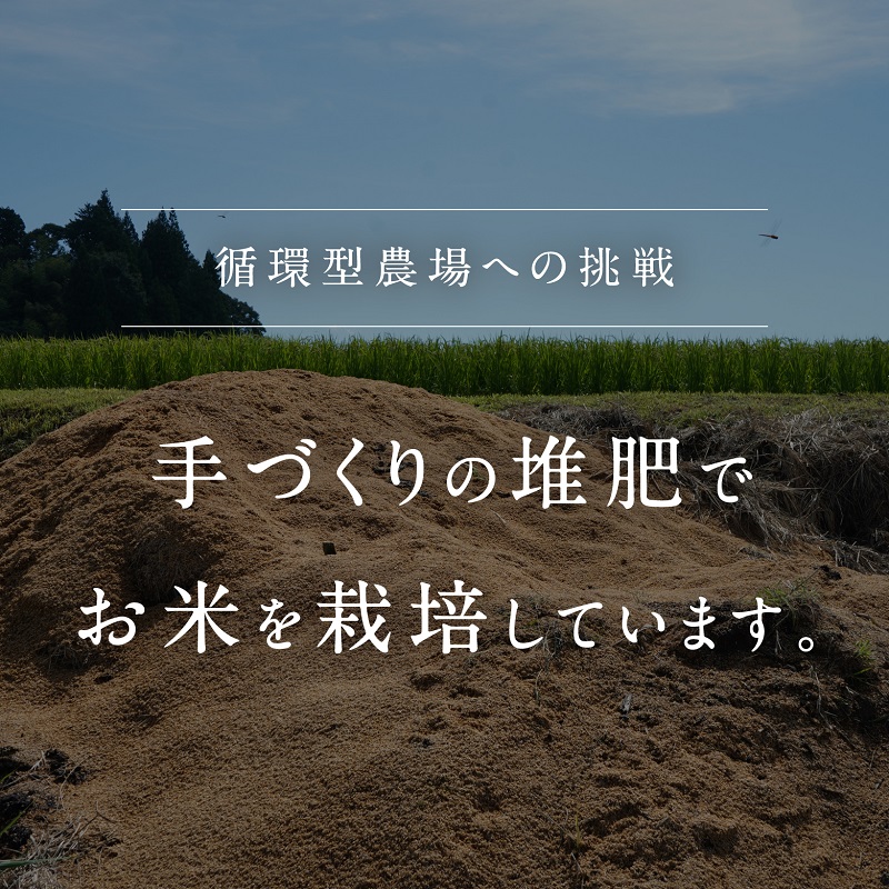 【新米・予約】令和6年産 矢原一心ファーム 特別栽培米 ミルキークイーン 10kg 米 お米 おこめ 鳥取県日南町 特別栽培