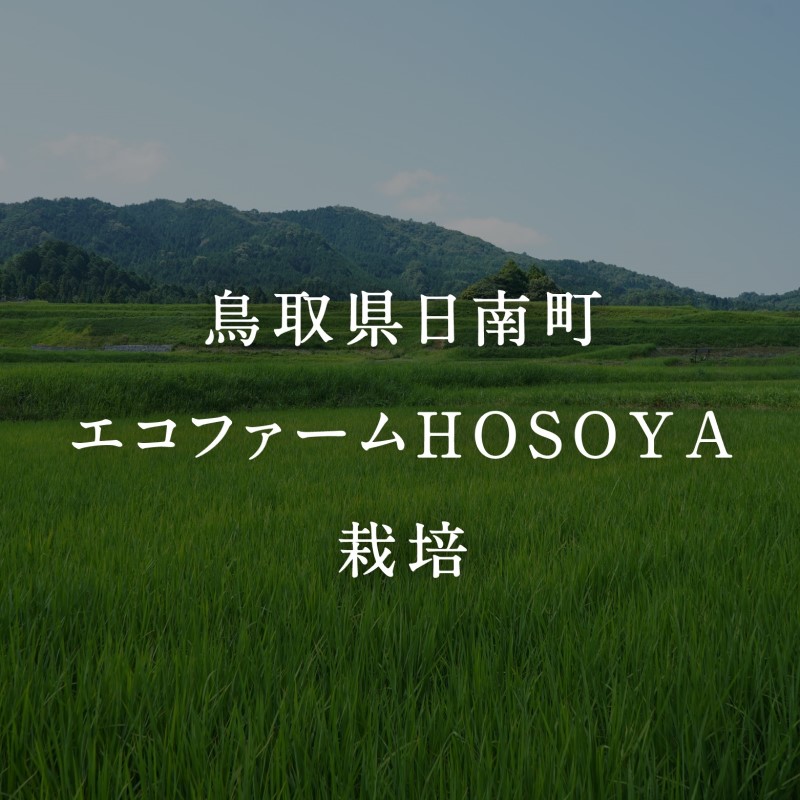 【6カ月連続お届け】令和5年産 海と天地のめぐみ米（コシヒカリ） 白米20kg