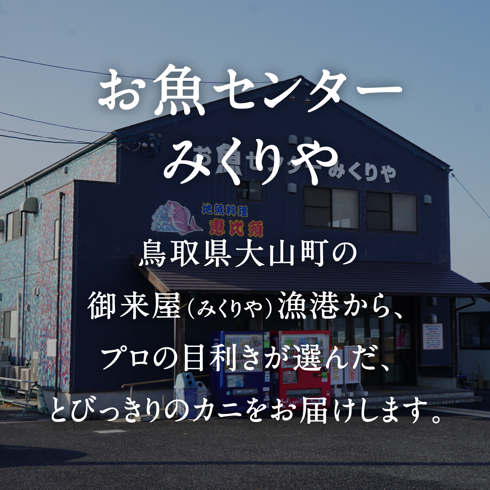 【先行予約】境港水揚げ 訳あり松葉ガニ3kg詰め合わせ（冷凍）OM-14-2  わけあり 松葉ガニ 松葉がに かに 蟹 カニ 鳥取県境港 御来屋漁港 みくりや漁港