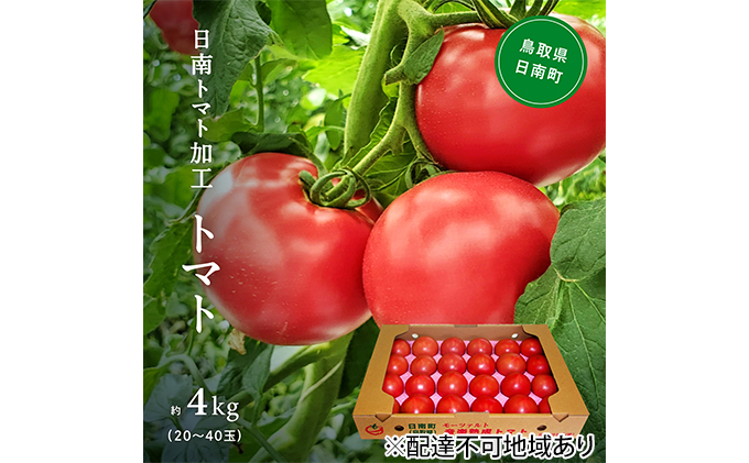 【先行予約】星降る里日南町　樹熟れトマト4kg【配送不可：北海道・沖縄】