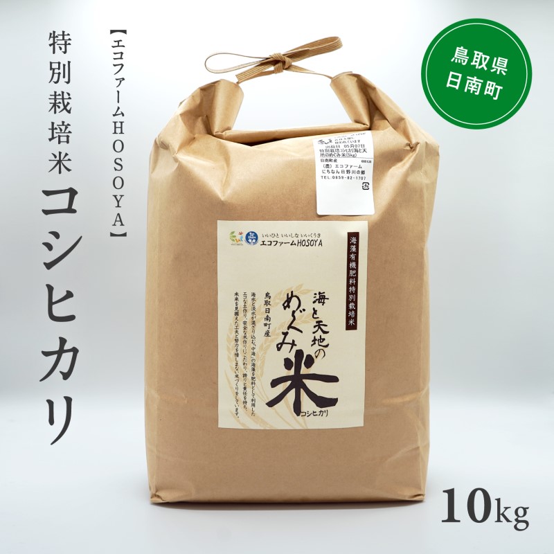 令和5年産 海と天地のめぐみ米（コシヒカリ） 白米10kg