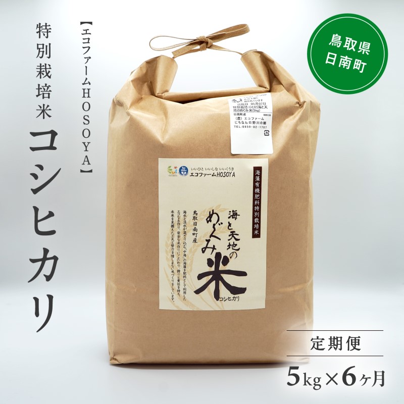 【6カ月連続お届け】新米 令和6年産 海と天地のめぐみ米（コシヒカリ） 白米5kg