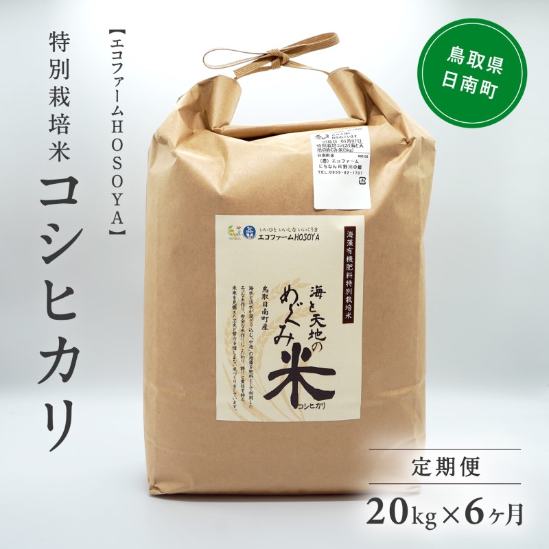 【6カ月連続お届け】令和5年産 海と天地のめぐみ米（コシヒカリ） 白米20kg