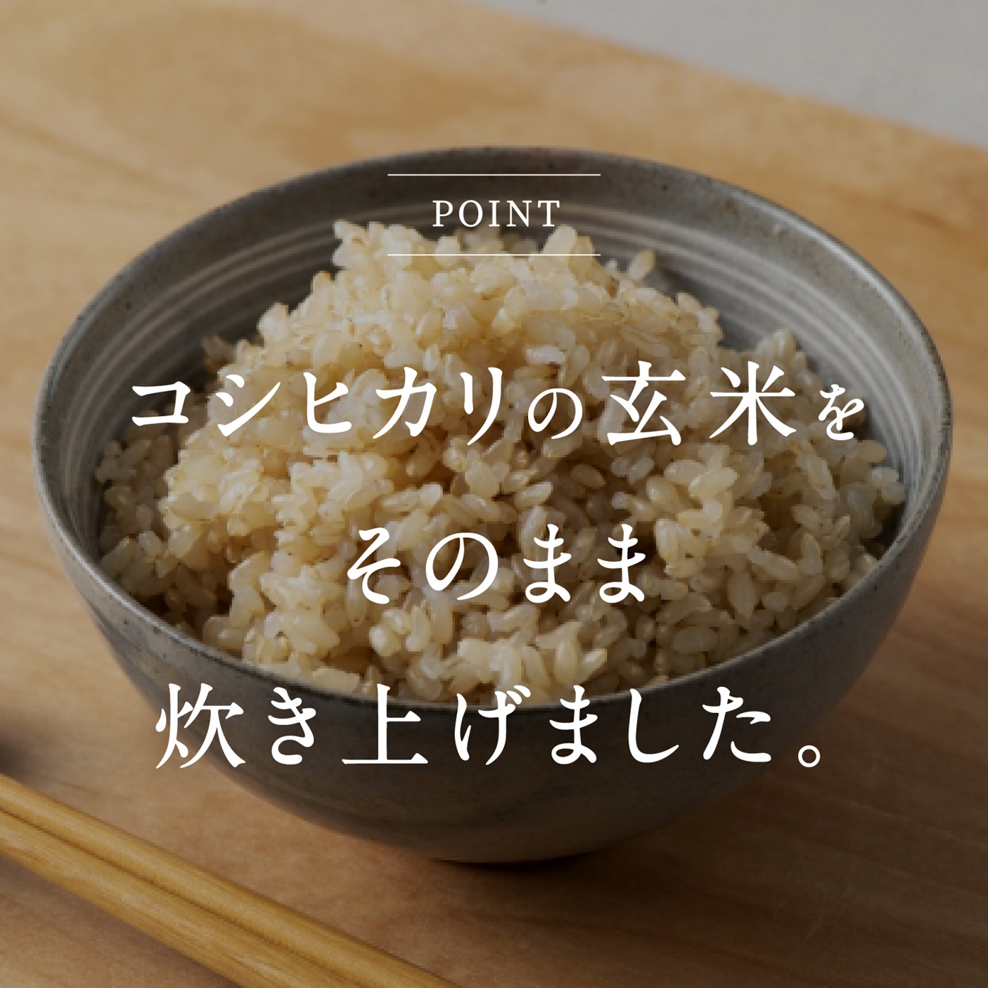 【3営業日以内発送】玄米パックご飯 160g×18個 パックご飯 パックごはん 玄米 玄米パックごはん コシヒカリ こしひかり おこめのみかた 電子レンジ レトルト 鳥取県日南町