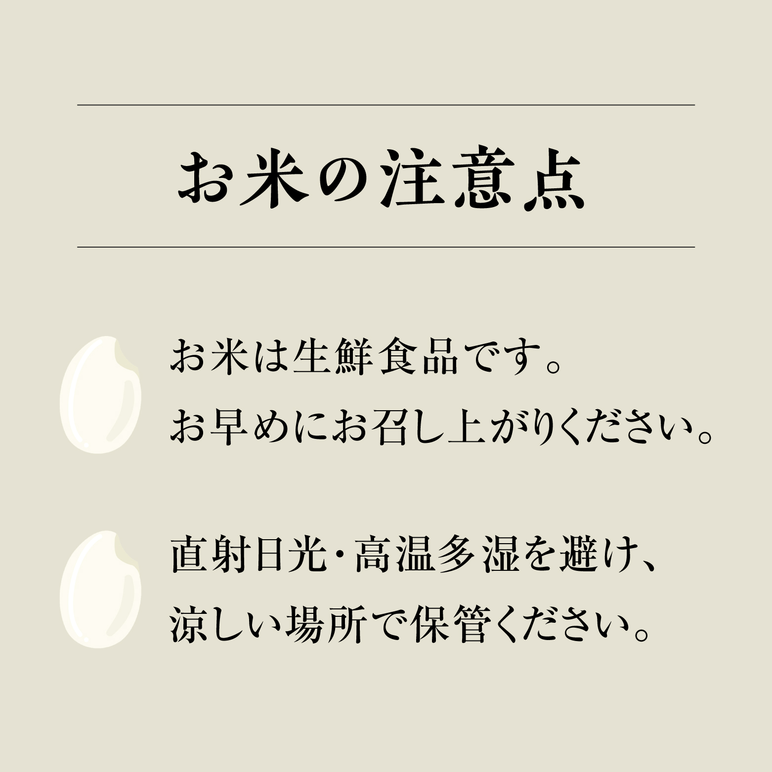 【10月以降発送】【新米・予約】令和6年産 鳥取県産コシヒカリ 10kg×6ヵ月 合計60kg 定期便 米 お米 こめ コメ 精米 日南町精米 60キロ 鳥取県日南町