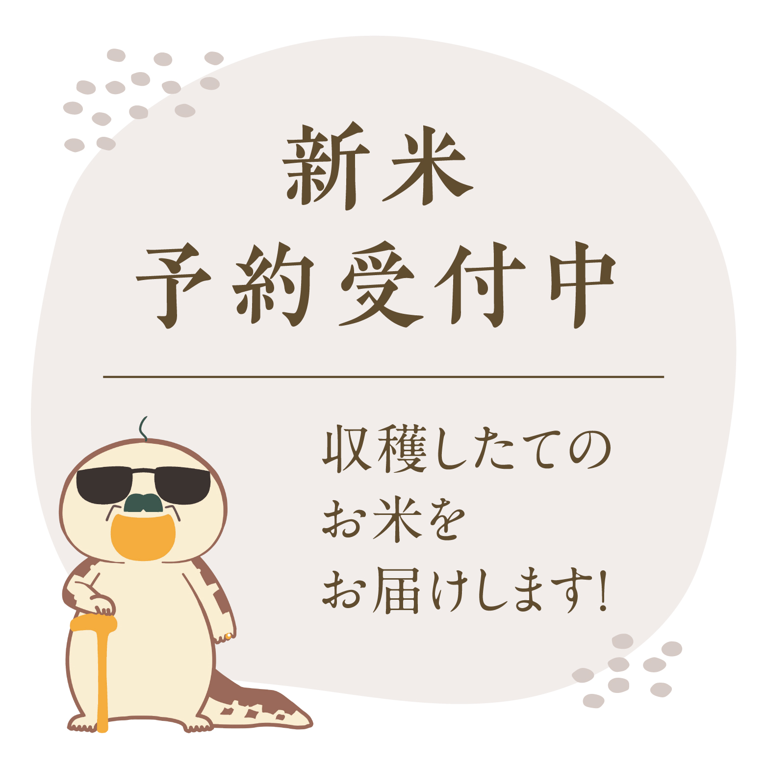 【10月以降発送】【新米・予約】令和6年産 鳥取県産コシヒカリ 10kg×6ヵ月 合計60kg 定期便 米 お米 こめ コメ 精米 日南町精米 60キロ 鳥取県日南町