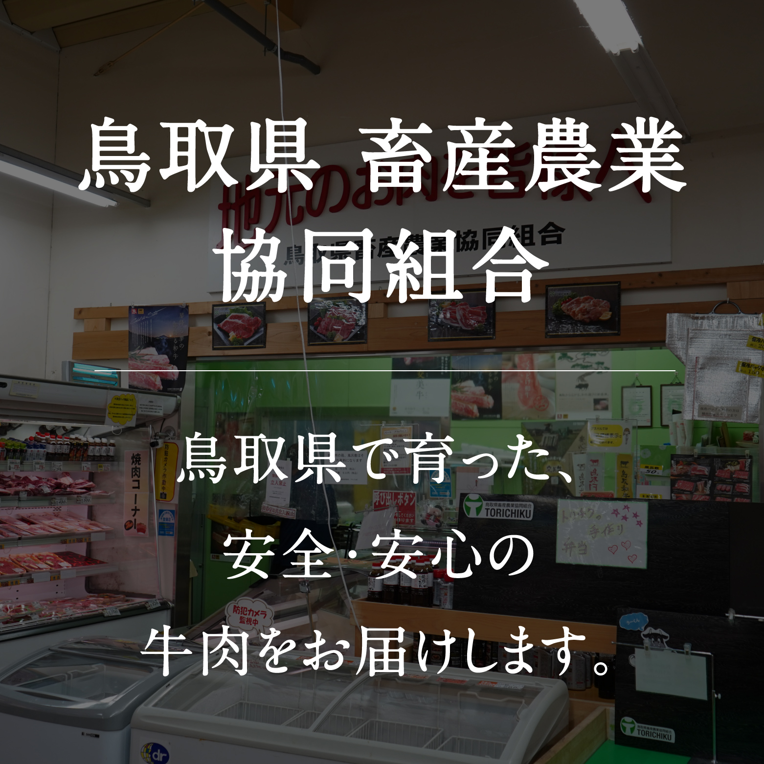 鳥取和牛肩ロースサイコロステーキ 約400g 和牛 牛肉 牛 肉 精肉 とりちく 鳥取県畜産農業協同組合