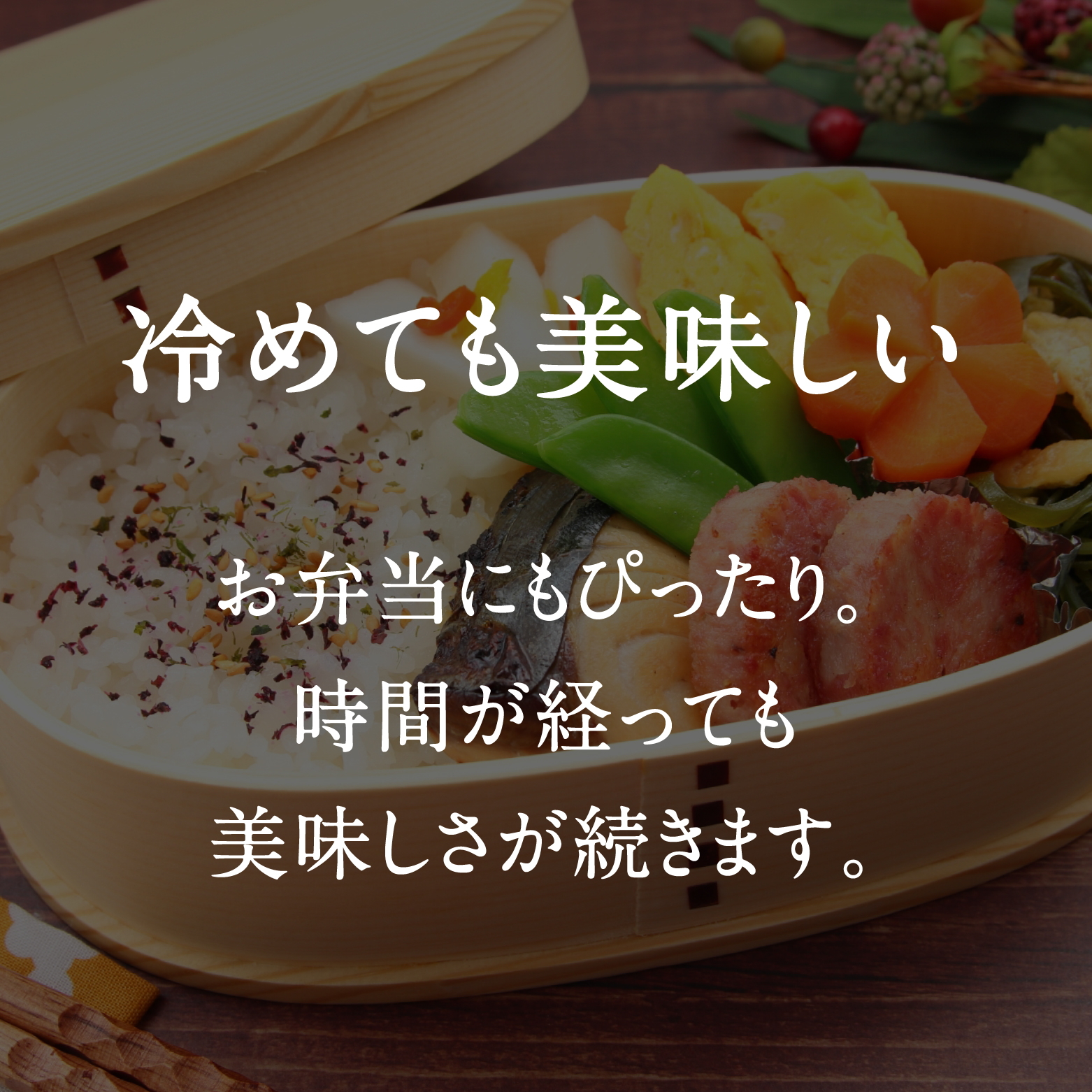 令和7年産 新米 先行予約 鳥取県日南町産コシヒカリ 定期便 5kg×6か月(合計30kg) 新屋のひとしずく ～野組450～ 米 お米 おこめ 精米 こしひかり