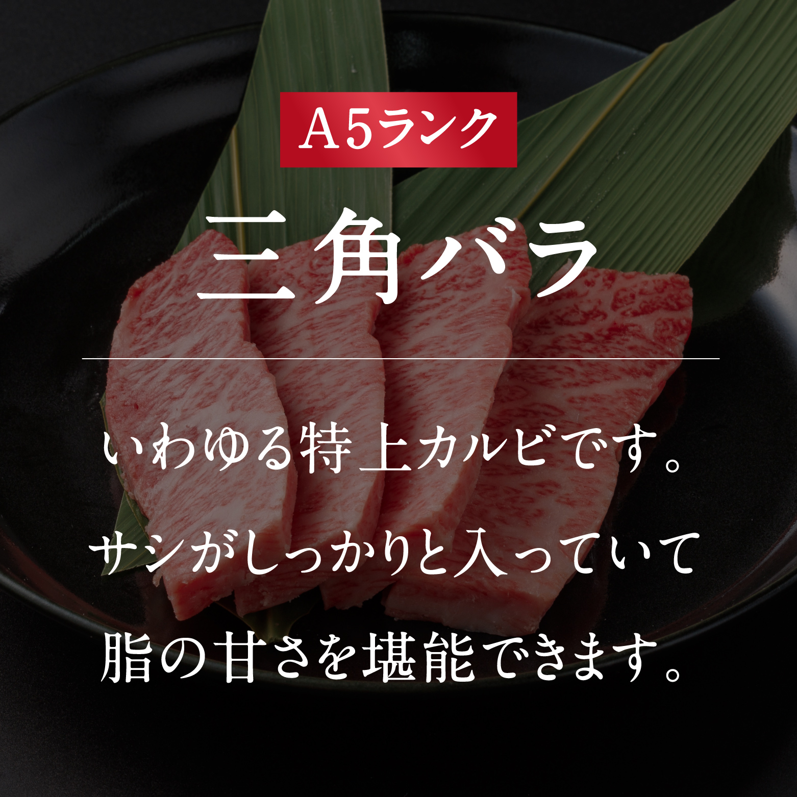 A5ランク 鳥取和牛焼肉食べ比べ 厳選部位4種類 合計400g 牛肉 精肉 肉 カタセイ 上カルビ 食べ比べセット サーロイン 肩ロース ランプ 牛モモ 三角バラ 特上カルビ カルビ 和牛 高級肉 お肉 焼肉