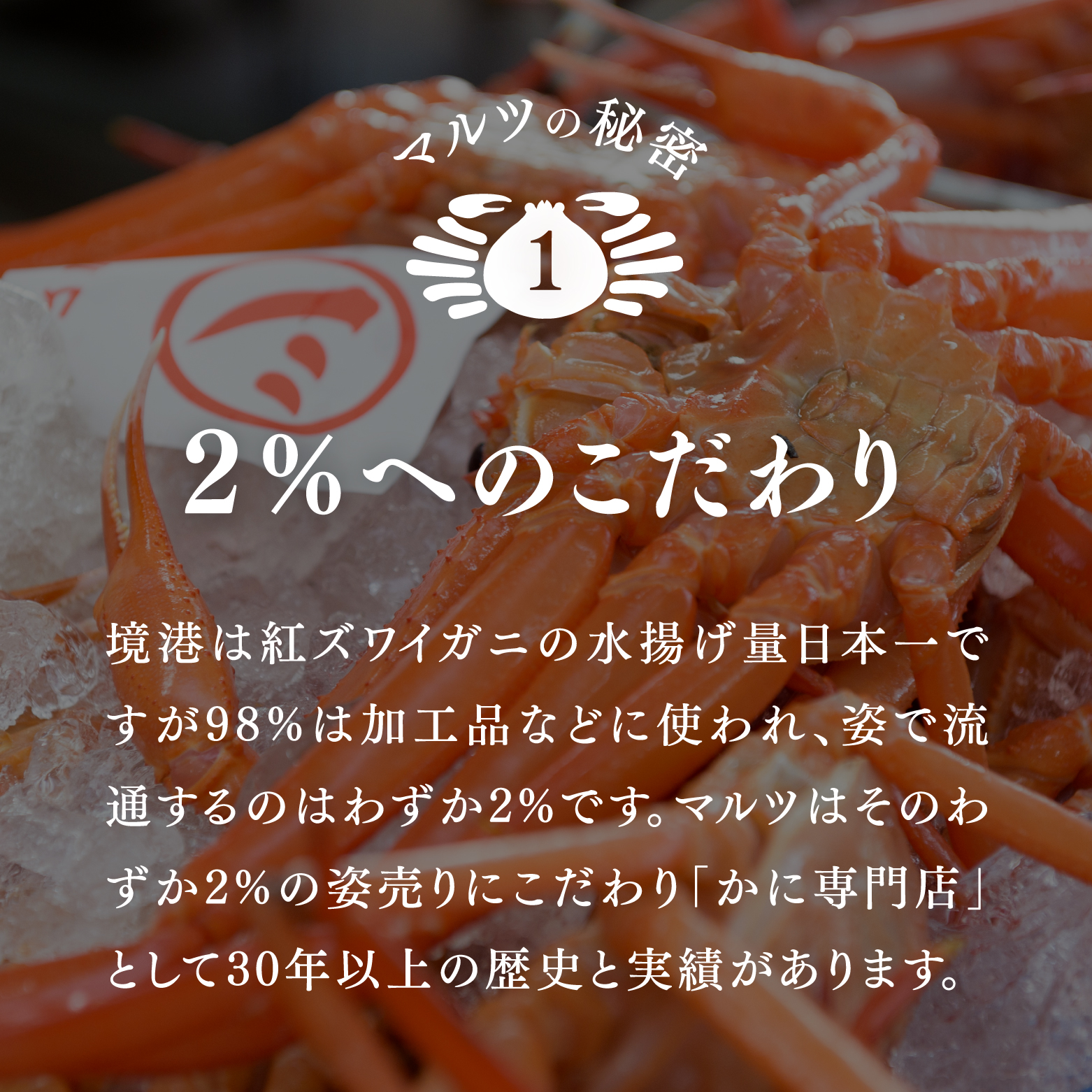 【北海道・沖縄・離島配送不可】蟹屋の釜茹で紅ずわい蟹２杯セット(大) 500～600g×2枚 ベニズワイガニ 紅ずわいがに カニ かに 境港 マルツ ボイルズワイガニ 鳥取県日南町