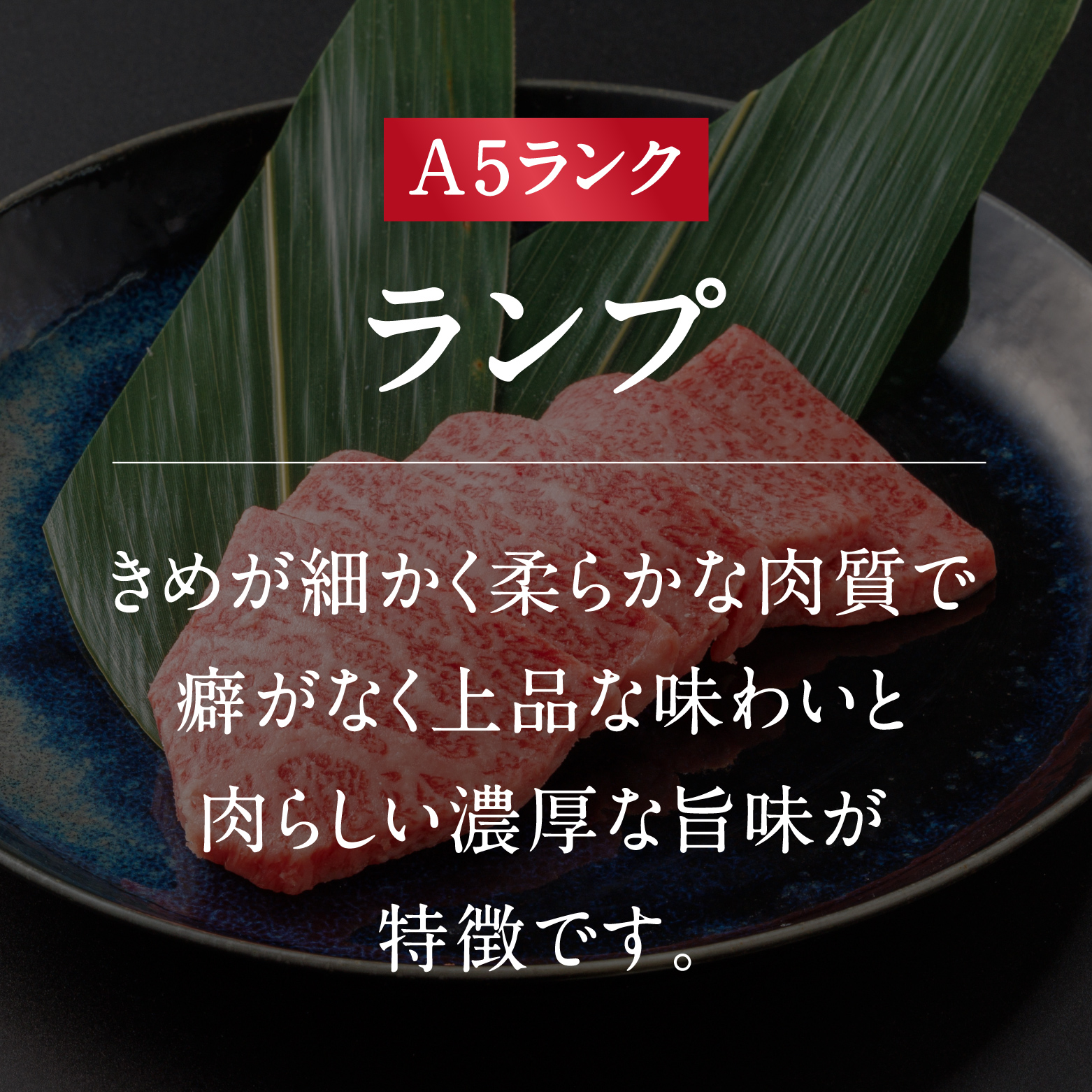 A5ランク 鳥取和牛焼肉食べ比べ 厳選部位4種類 合計400g 牛肉 精肉 肉 カタセイ 上カルビ 食べ比べセット サーロイン 肩ロース ランプ 牛モモ 三角バラ 特上カルビ カルビ 和牛 高級肉 お肉 焼肉