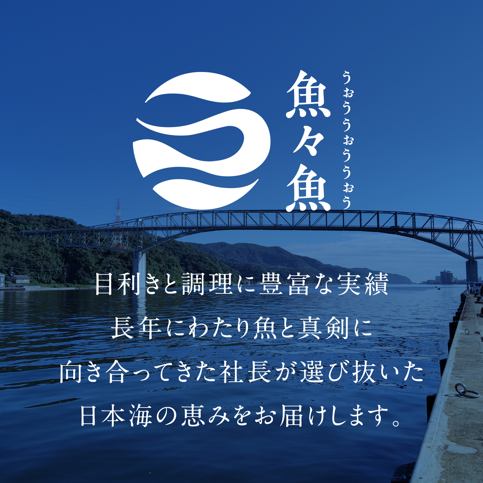 【チルドでお届け】【ボイル】境港水揚げ 訳あり松葉ガニ 1kg(2～3 枚入り) 魚々魚厳選 松葉がに 松葉蟹