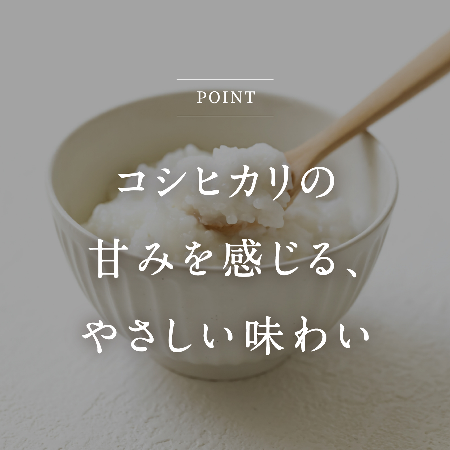 【3営業日以内発送】【お試し】コシヒカリの白粥 200g×12個 おかゆ お粥 パックご飯 パックごはん コシヒカリ こしひかり おこめのみかた 電子レンジ レトルト 鳥取県日南町