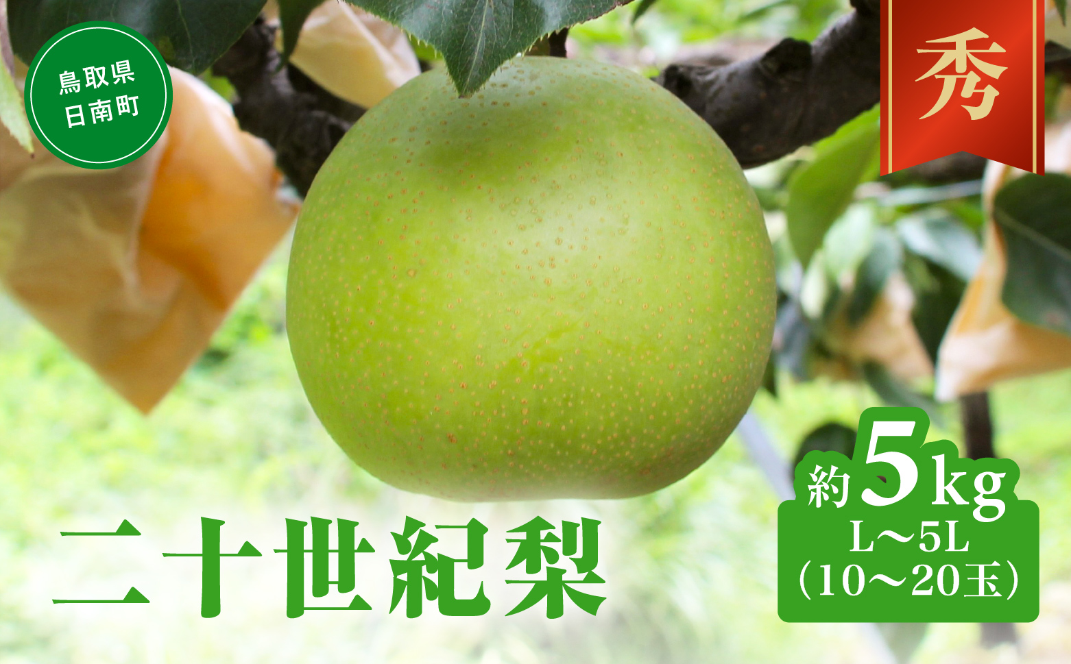 莠悟香荳也エ譴ィ 遘5緕丞燕蠕 Lス5L(10ス20邇牙燕蠕) 譴ィ 縺ェ縺 繝輔Ν繝シ繝 魑・蜿 鬮倬俣蝠蠎