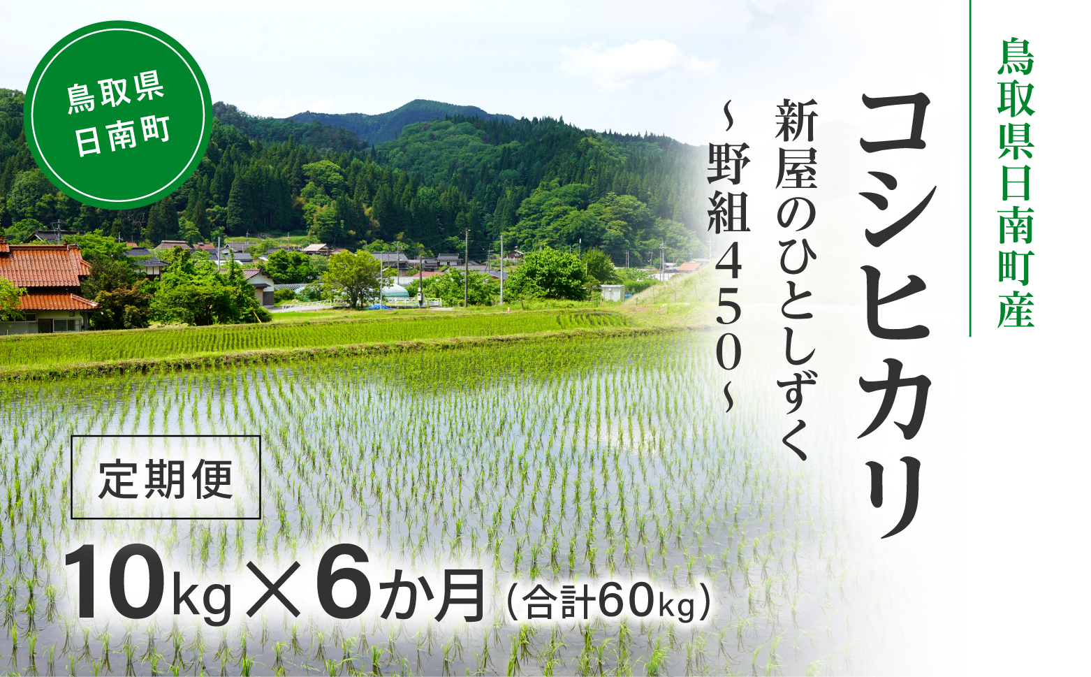 令和7年産 新米 先行予約 鳥取県日南町産コシヒカリ 定期便 10kg×6か月(合計60kg) 新屋のひとしずく ～野組450～ 米 お米 おこめ 精米 こしひかり