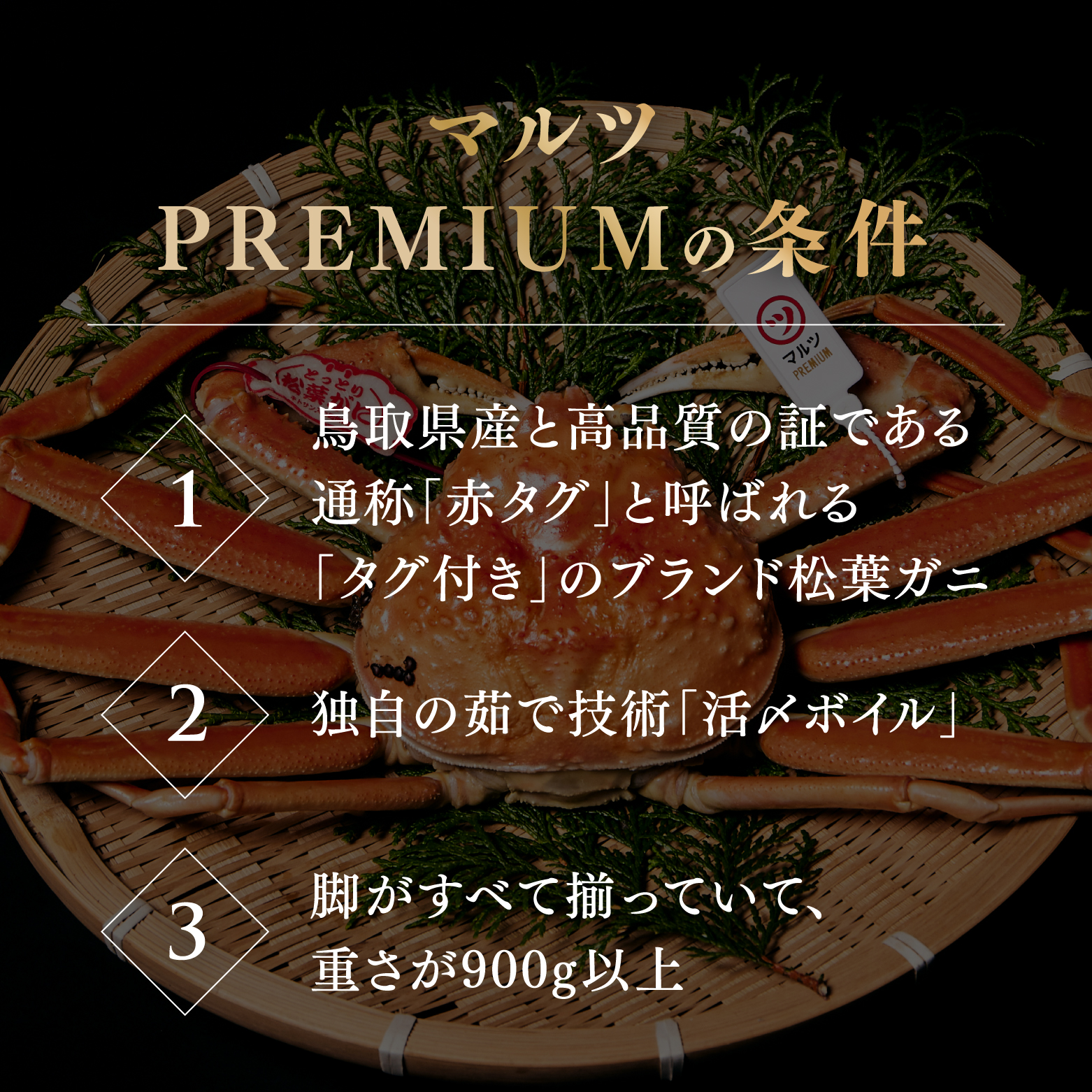 【北海道・沖縄・離島配送不可】【早期先行予約】【マルツPREMIUM】タグ付き 活〆ボイル松葉蟹 900g以上 松葉ガニ 松葉がに 蟹 カニ かに 境港 マルツ 鳥取県日南町