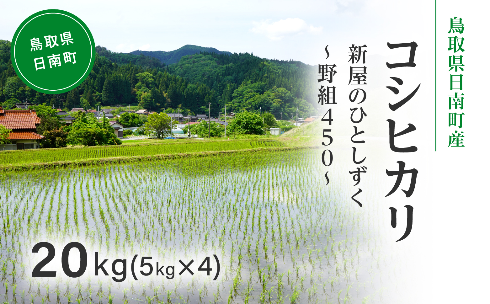 令和7年産 新米 先行予約 鳥取県日南町産コシヒカリ 20kg(5kg×4) 新屋のひとしずく ～野組450～ 米 お米 おこめ 精米 こしひかり
