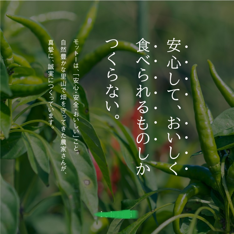 譚セ蟆セ霎イ蝨 縺励>縺溘¢繧ク繝」繝シ繧ュ繝シ 縲4蛟九そ繝繝医 縺翫▽縺セ縺ソ 讀手減 繧キ繧、繧ソ繧ア 繝薙シ繝ォ 縺企 縺翫°縺 縺願藷蟄