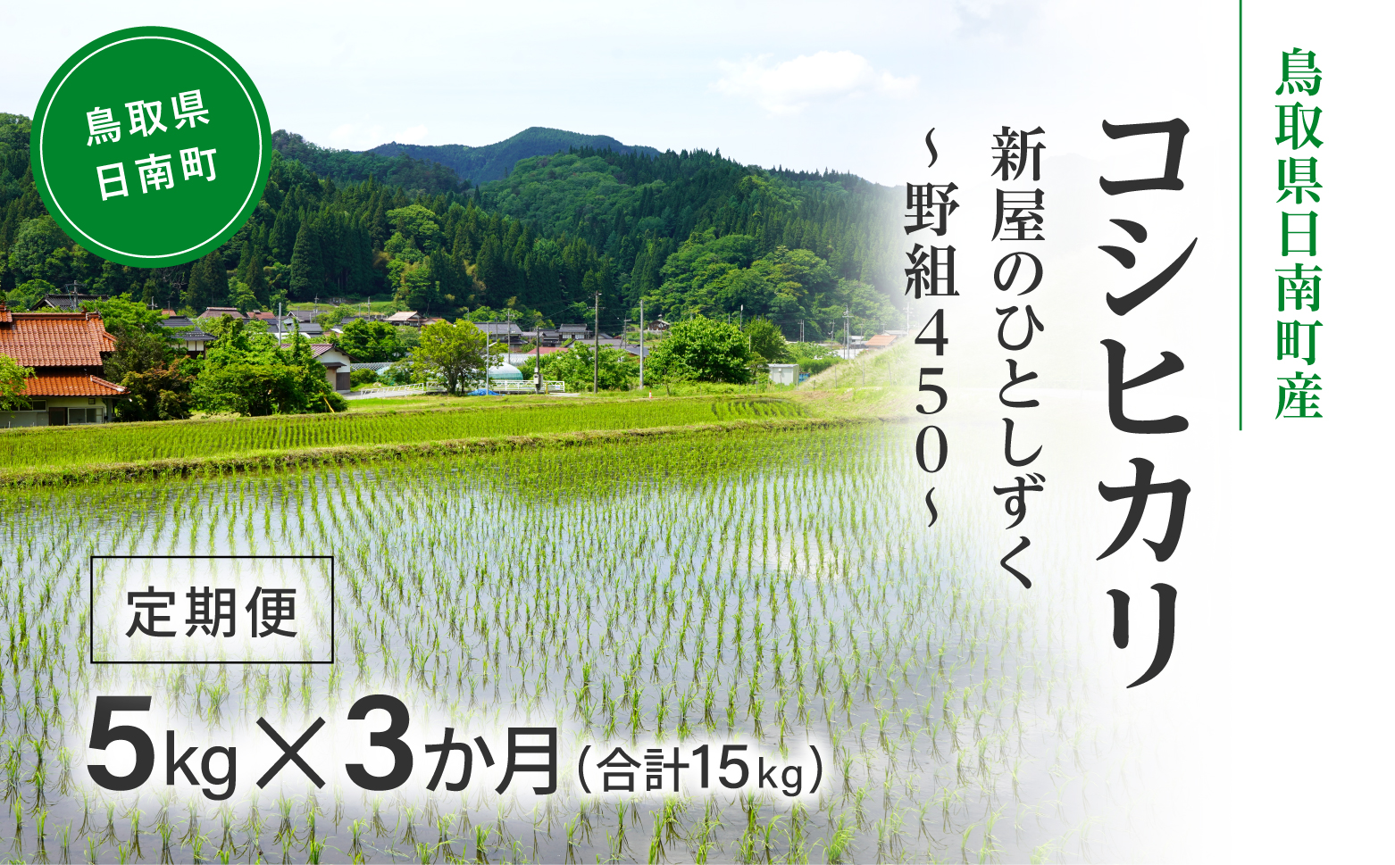 令和7年産 新米 先行予約 鳥取県日南町産コシヒカリ 定期便 5kg×3か月(合計15kg) 新屋のひとしずく ～野組450～ 米 お米 おこめ 精米 こしひかり