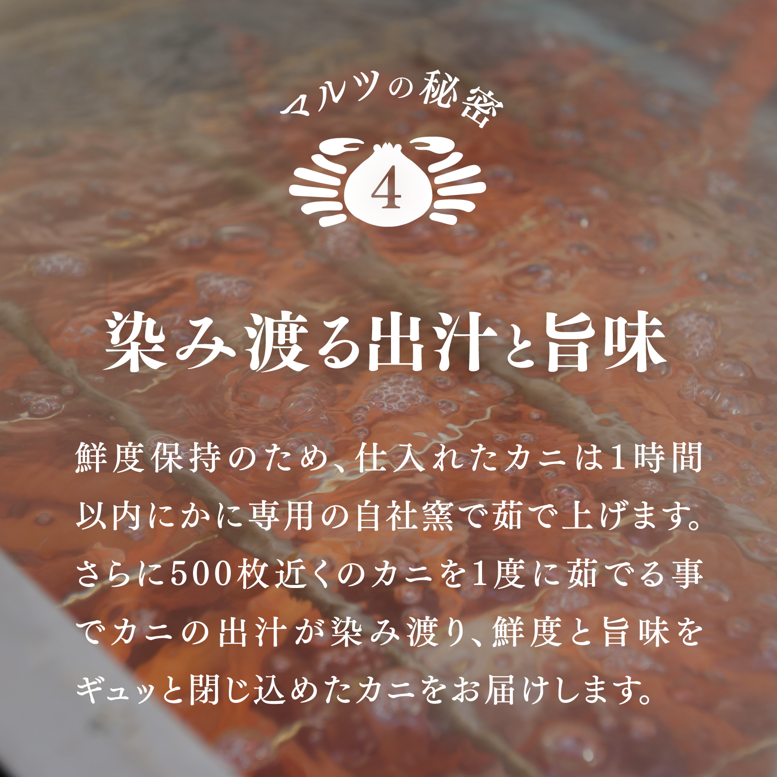 【北海道・沖縄・離島配送不可】蟹屋の釜茹で紅ずわい蟹２杯セット(大) 500～600g×2枚 ベニズワイガニ 紅ずわいがに カニ かに 境港 マルツ ボイルズワイガニ 鳥取県日南町