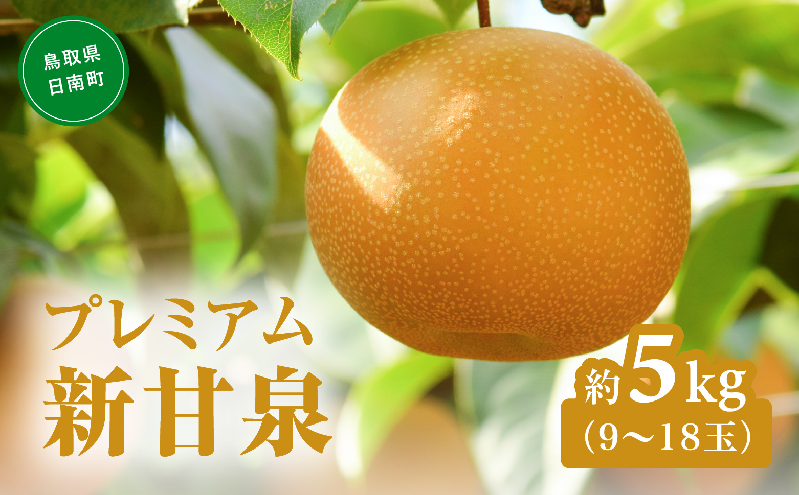 繝励Ξ繝溘い繝譁ー逕俶ウ会シ医@繧薙°繧薙○繧難シ 5kg蜑榊セ (9ス18邇牙燕蠕) 譴ィ 縺ェ縺 繝輔Ν繝シ繝 魑・蜿 鬮倬俣蝠蠎